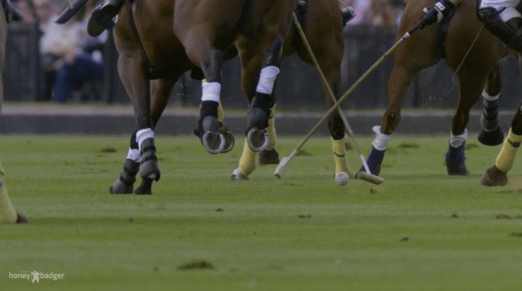 DGL Group Website Development